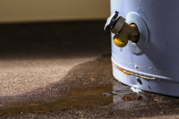 Best Flood restoration services  in Hastings, MN