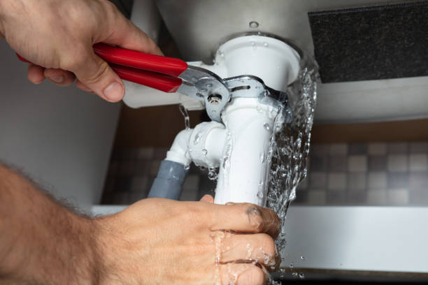 Best Flooded house restoration  in Hastings, MN