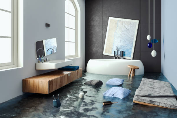 Best Ceiling water damage repair  in Hastings, MN