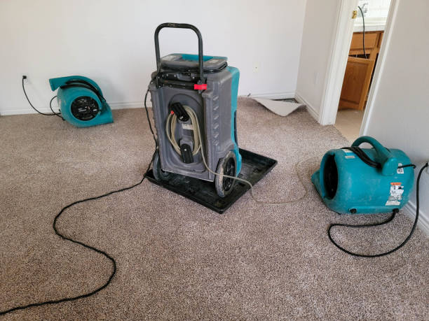 Carpet water damage restoration in Hastings, MN