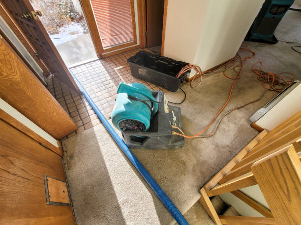 Local water damage restoration in Hastings, MN