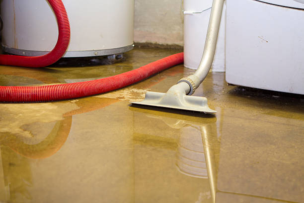 Trusted Hastings, MN Water damage restoration Experts
