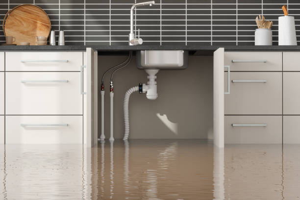Best Water damage cleanup near me  in Hastings, MN